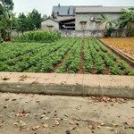 đất phân lô - ngõ thông ô tô vào tận đất - ba bước chân ra đường đho9, hòa trúc hòa thạch quốc oai