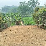 Hàng Hiếm Lô Đất 2 Mặt Tiền Tại Ba Trại 470M2. Bám Cánh Đồng View Núi Tc Hơn 2X Tỷ 0988908583