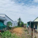Cắt lỗ bán gấp mt đt741, gần chợ an bình, bình dương, 950tr/120m2, shr, sang tên trong ngày.