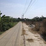 Bán trang trại, khu nghỉ dưỡng tại đường 873b, gò công đông, tiền giang, 4,3 tỷ, 3000m2