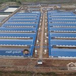 Cần chuyển nhượng 1 số trại heo pháp lý đầy đủ . xây dựng ngay giá tốt
