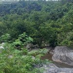 Cần bán 47 ha (470 000) m2 đất rẫy (rsx, cln) có suối lớn tuyệt đẹp ninh tây, ninh hoà, khánh hoà