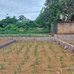Lô đất rẻ nhất thị trường hoà lạc gần đại học fpt huyện thạch thất