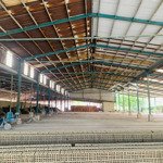 Bán lò gạch 2 hecta vĩnh cửu. đồng nai