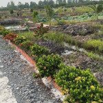 đất vườn làm sẵn vườn ao cá nền nhà sẵn sàn mua cất nhà vườn quá đẹp đầu tư bao ngon