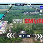Bán Gấp Lô Đất 212M2 Tại Xã Long Tân, Dầu Tiếng, Bình Dương Chỉ 300 Triệu