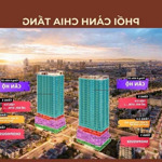 Ra mắt căn hộ biển đà nẵng chỉ từ 2,45 tỷ. giá bán trự tiếp từ cđt sun group