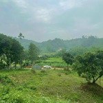 Chính chủ bán 1200m2 tại tân vinh, lương sơn có view đẹp giá lại rẻ 2,6tỷ