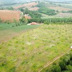 Bán 6,5 ha sầu riêng ở ealy sông hinh phú yên