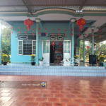 Người nhà bán đất gần biển giáp sungroup có thổ cư giá 1.3tr/m