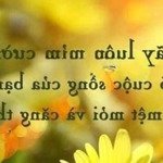Bán nhanh căn hộ cc tại dic phoenix, 3pn, 2wc, sổ hồng trao tay nhận ngay căn hộ. lh: 0909271407