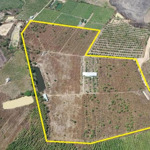 Cần bán lô đẹp 7,8 ha sông phan - hàm tân mặt tiền rộng đến 1,3km giá tốt - lh zalo 034.430.6879