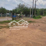 Bán đất tại đồng tâm, đồng phú, bình phước, 350 triệu, 250m2, view đẹp hàng hiếm