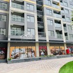 Mặt Tiền Shop Căn Gốc Đặc Biệt Vừa Kinh Doanh Vừa Sở Hữu Lâu Dài - Vay 0% Lãi Suất 3 Năm.