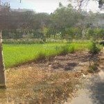 Mở Bán Lô Đất Nền Đường Nguyễn Lương Bằng, Quận 7, Gần Chung Cư Belleza, Sổ Riêng, 100M2, 2Tỷ7