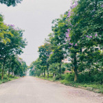 Nhỉnh 1X Tỷ Sở Hữu Ngay Căn Biệt Thự Vinaconex 2 - Kdt Quang Minh - Mê Linh - Hn 0967522585