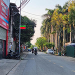 Chỉ 2.X Tỷ Đường Trải Nhựa Ô Tô Vào Đất Nam Hồng, Đông Anh