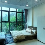 Hàng Hiếm Tại Nguyễn Văn Lượng, 5,6 Triệu, 30 M2, 1 Phòng Ngủ+ 1 Vệ Sinh Gò Vấp, Hcm