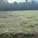 Bán Đất Tại Lộc Thành, Lộc Ninh, Bình Phước, 2,3 Tỷ, 10000M2