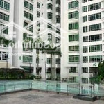 Căn Hộ Cao Cấp Quận 7, Hoàng Anh 2. Gần Cầu Khánh Hội. Đã Có Sổ
