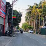 Chỉ 2.x tỷ đường trải nhựa ô tô vào đất Nam Hồng, Đông Anh