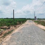 Bán 2 sào đất gần cầu cây ổi xã hòa thạnh châu thành, tây ninh. lh 0919.093.496
