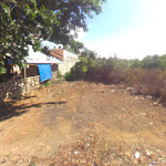 Bán Đất Đường Duyên Hải,Cần Giờ, Ngay Cạnh Siêu Dự Án Vinhomes Cần Giờ, Cơ Hội Đầu Tư Cao,120M2,Shr