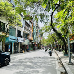 Bán nhà riêng thuỵ khuê - tây hồ, 66m, 5 tầng, ô tô vào nhà, mt siêu rộng 5.8m.