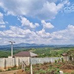 Bán Đất Sẵn Thổ Cư 100M2 Tổng Diện Tích 1.091M2