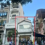 Cơ Hội Vàng Sở Hữu Góc 2Mt Nguyễn Trãi, Q1 - Dt: 4.2 X 18M (Cn: ~75M2 Hđt 60 Triệu/Th) Chỉ 38 Tỷ