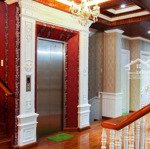 Nhà Biệt Thự Siêu Phẩm Phong Cách Hoàng Gia, 5 Tầng Thang Máy Vi Vu, 8M X 50M, Nở Hậu (430M2)