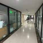 Tập đoàn hải phát cho thuê gấp sàn vp tổ hợp roman plaza - mỗ lao, s 70m2 đến 276m2, giá 210k/m2