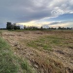 Bán 1000M2 Lúa Thuộc Phường Khánh Hậu , Tp Tân An , Cách Đường Vành Đai 150M , Đường Hiển Thị