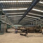 Cho thuê xưởng 40.000m2 kcn đức hòa long an. bàn giao ngay . giá tốt