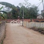 Bán đất chính chủ 60,4 m2 cánh chủ bình yên thạch thất hà nội.
