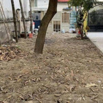 Cần Tiền Bán Gấp Đất 5X18M, Hẻm Xe Hơi Lâm Văn Bền Chỉ 8,3 Tỷ