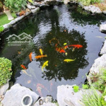 Biệt thự vip tây hồ tinh hoa kiến trúc 400m giá 69,8 tỷ-0904644050