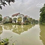 Bán biệt thự hp8-38 vinhomes riverside, giá cực chất 81 tỷ, 231m2, phúc lợi, long biên, hà nội