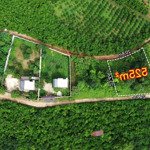 đất view núi đại bình 525m2 tại lộc thanh, bảo lộc, lâm đồng, giá 1,4 tỷ hàng ngộp