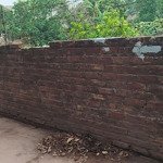 Bán đất tại phụng châu, chương mỹ, hà nội, 3,9 tỷ, 78 m2, mặt tiền 4m