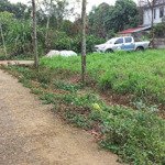 Chính chủ bán 510m² full thổ cư, sát bến xe chùa bái đính mặt bằng lý tưởng xây khách sạn, homestay