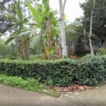 Giá Siêu Hấp Dẫn, Lô Góc 2 Mặt Tiền, Diện Tích: 1905M Tại Tt Ba Hàng Đồi, Giá 3, 2 Triệu/M, Vài Bước Ra Ql21