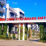 Chính Chủ Bán Shophouse 5 Tầng 100M2 Full Nội Thất 5* , Thang Máy Tại Tms Grand City Phúc Yên