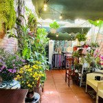 Nguyễn Chí Thanh! Kinh Doanh , Văn Phòng, Ô Tô Tránh Vỉa Hè, Phân Lô Thông Tứ Tung. 57M*3T
