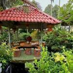 Bán nhà gỗ Mặt tiền An Hạ xã Phạm Văn Hai Bình Chánh