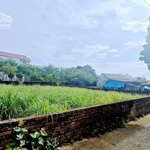 Cần Bán Đất Đẹp Tại Hòa Thạch Quốc Oai Hà Nội
Diện Tích: 174M (Trong Đó Có 100M Thổ Cư)