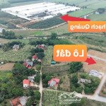 Bán Đất Lô Góc 235M2 Sát Vách Kcn Thạch Quảng, Thạch Thành, Thanh Hóa. Giá Bán 195 Triệu