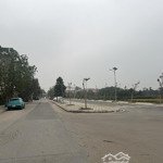 Bán Đất Nền 67.5M2, 126 Triệu/M2 Đấu Giá Cây Sung Đan Phượng, Hà Nội