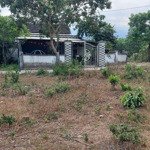 Đất Xây Nhà Vườn 300M2 Đất Ở Toàn Bộ 2 Mặt Kiệt Ngang 17,8M.
