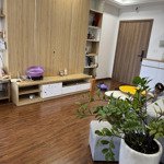 Cho Thuê Căn Hộ Chung Cư Capital 102 Trường Chinh, Đống Đa 91M2 2 Phòng Ngủ 2 Vệ Sinhfull Nội Thất 15 Triệu/1 Tháng
